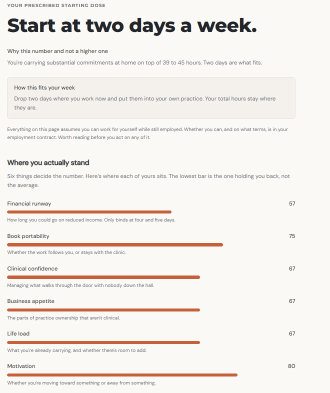 An assessment result, placing one practitioner across the six areas.